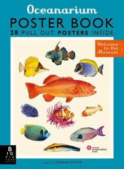 Paperback Oceanarium Poster Book (Welcome To The Museum) Book