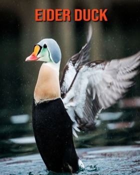 Paperback Eider Duck: Beautiful Pictures & Interesting Facts Children Book About Eider Duck Book