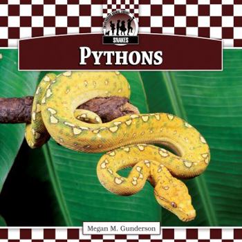 Pythons - Book  of the Snakes