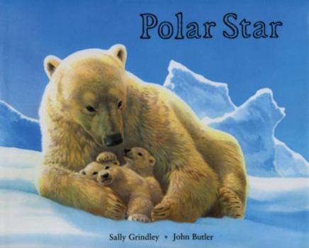 Hardcover Polar Star Book