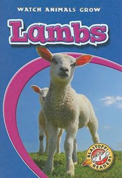 Lambs (Paperback) - Book  of the Watch Animals Grow