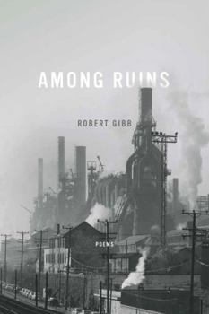 Hardcover Among Ruins Book