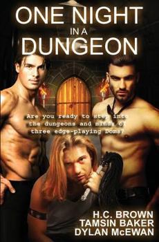 Paperback One Night in a Dungeon: Anthology Book