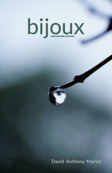 Paperback bijoux Book