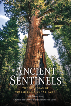 Paperback Ancient Sentinels: The Sequoias of Yosemite National Park Book
