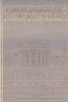 Paperback The Ideal City Book