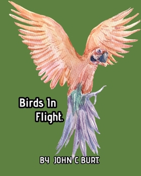 Paperback Birds In Flight. Book