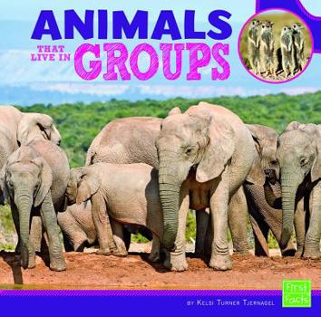 Hardcover Animals That Live in Groups Book