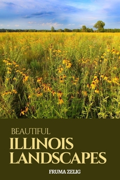 Paperback Beautiful Illinois Landscapes: An Adult Picture Book and Nature City Travel Photography Images with NO Text or Words for Seniors, The Elderly, Dement Book