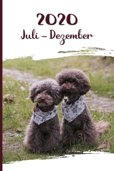 Kalender 2020: Pudel Hunde Tageskalender 2. Halbjahr Juli Dezember ca DIN A5 weiß über 190 Seiten (German Edition)