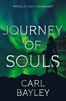 Paperback Journey of Souls Book