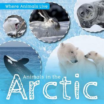 Paperback Animals in the Arctic Book