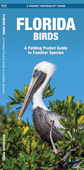 Paperback Florida Birds: A Folding Pocket Guide to Familiar Species Book