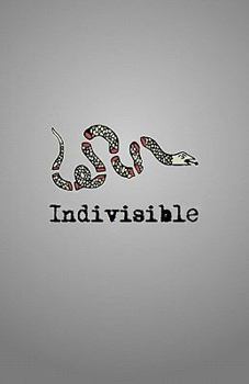 Indivisible: With Justice for Some