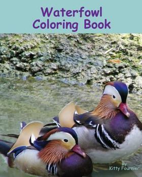 Paperback Waterfowl Coloring Book