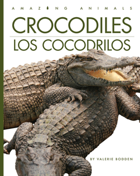 Paperback Crocodiles / Los Cocodrilos [Spanish] Book