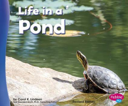 Paperback Life in a Pond Book
