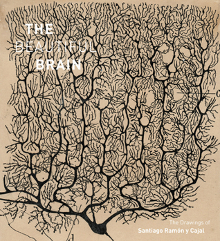 Hardcover The Beautiful Brain: The Drawings of Santiago Ramon Y Cajal Book