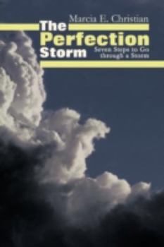 Paperback The Perfection Storm: Seven Steps to Go Through a Storm Book