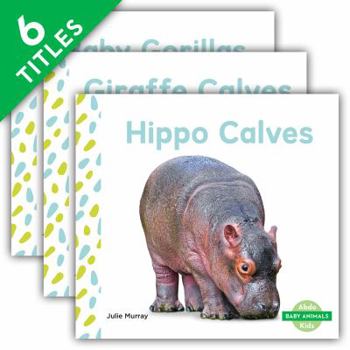 Library Binding Baby Animals Set 2 (Set) Book