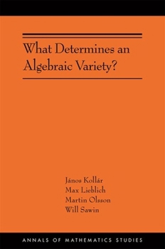 Hardcover What Determines an Algebraic Variety? Book