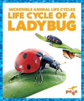 Library Binding Life Cycle of a Ladybug Book