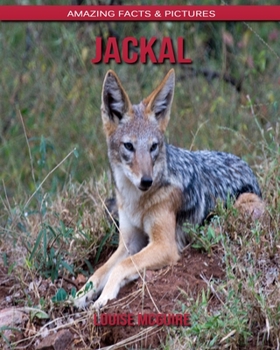 Jackal: Amazing Facts & Pictures