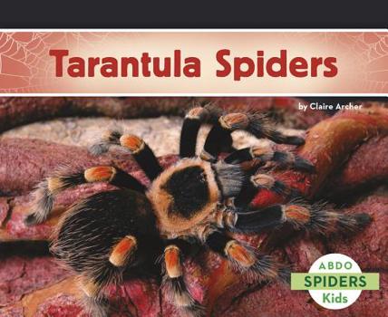 Paperback Tarantula Spiders Book