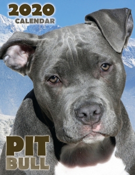 Paperback Pit Bull 2020 Calendar Book