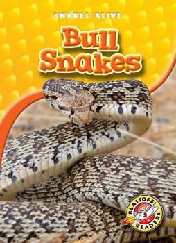 Library Binding Bull Snakes Book
