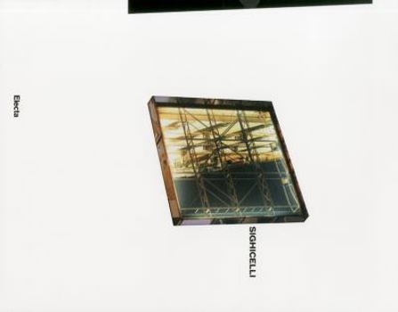 Hardcover Elisa Sighicelli Book