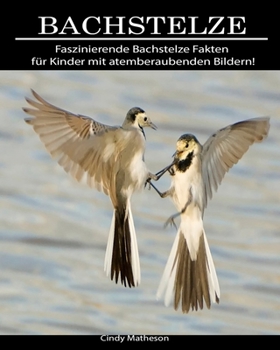 Bachstelze: Faszinierende Bachstelze Fakten für Kinder mit atemberaubenden Bildern! (German Edition)