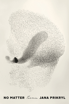 Paperback No Matter: Poems Book