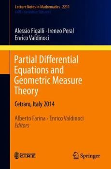 Paperback Partial Differential Equations and Geometric Measure Theory: Cetraro, Italy 2014 Book