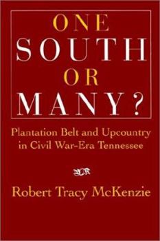 Paperback One South or Many?: Plantation Belt and Upcountry in Civil War-Era Tennessee Book