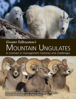 Paperback Greater Yellowstone's Mountain Ungulates: A Contrast in Management Histories and Challenges: A Book