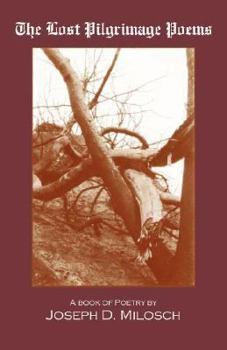 Paperback The Lost Pilgrimage Poems Book
