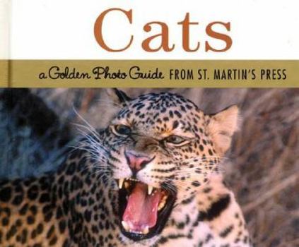 Hardcover Cats Book