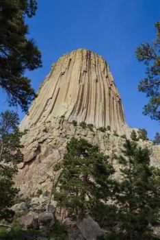 Paperback Devil's Tower in Wyoming USA Journal: 150 Page Lined Notebook/Diary Book