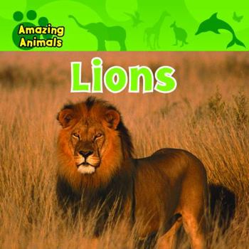 Lions (All About Animals) - Book  of the Amazing Animals