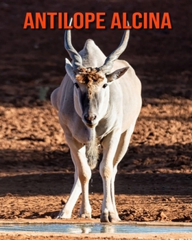 Antilope alcina: Foto stupende e fatti divertenti Libro sui Antilope alcina per bambini (Italian Edition)