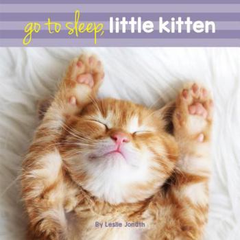 Board book Go to Sleep Little Kitten Book