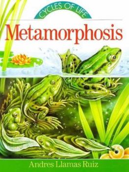 Hardcover Metamorphosis Book
