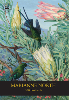 Hardcover Marianne North 100 Postcards Book