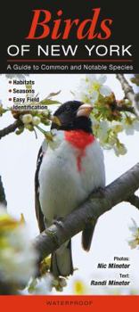 Pamphlet Birds of New York: A Guide to Common & Notable Species Book