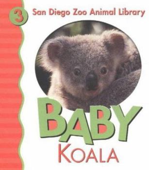 Board book Baby Koala Book