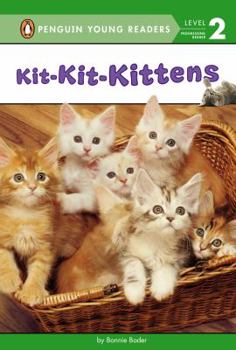 Hardcover Kit-Kit-Kittens Book