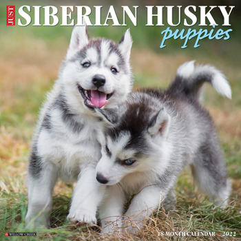 Calendar Just Siberian Husky Puppies 2022 Wall Calendar (Dog Breed) Book