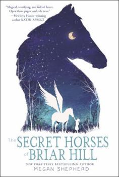 Hardcover The Secret Horses of Briar Hill Book