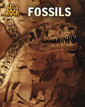 Paperback Fossils Book